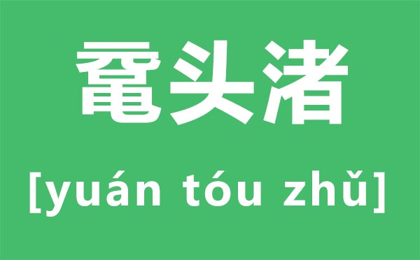 黿頭渚怎么讀拼音是什么,無錫黿頭渚是什么地方