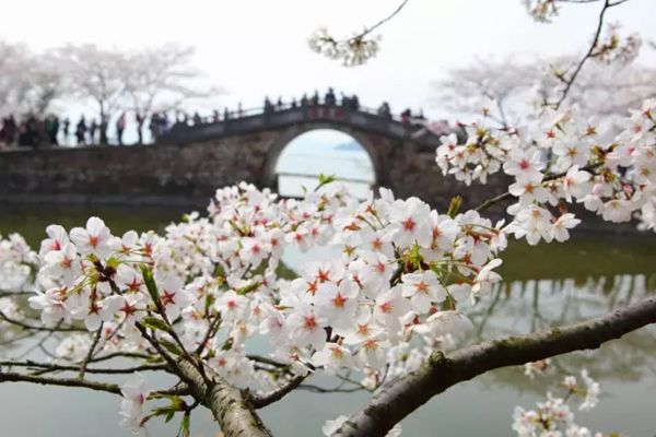黿頭渚怎么讀拼音是什么,無錫黿頭渚是什么地方
