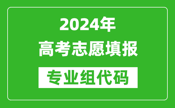 2024年高考志愿填報的專業組代碼是什么意思？